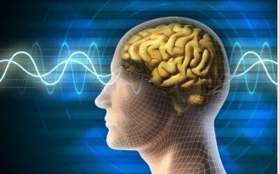 LED Light Therapy Improves Cerebral Blood Flow and Cognitive Function in Veterans with TBI